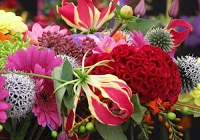 Lee Florist 1069868 Image 0